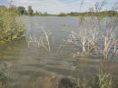 Etang en boucle de Seine